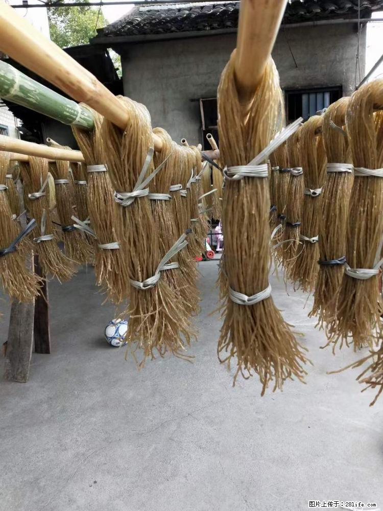 【灌阳正宗红薯粉】美女家里自己做的，干净卫生，假一赔十，价格合理，抢购电话：13737312895 - 美食天地 - 宁波生活社区 - 宁波28生活网 nb.28life.net