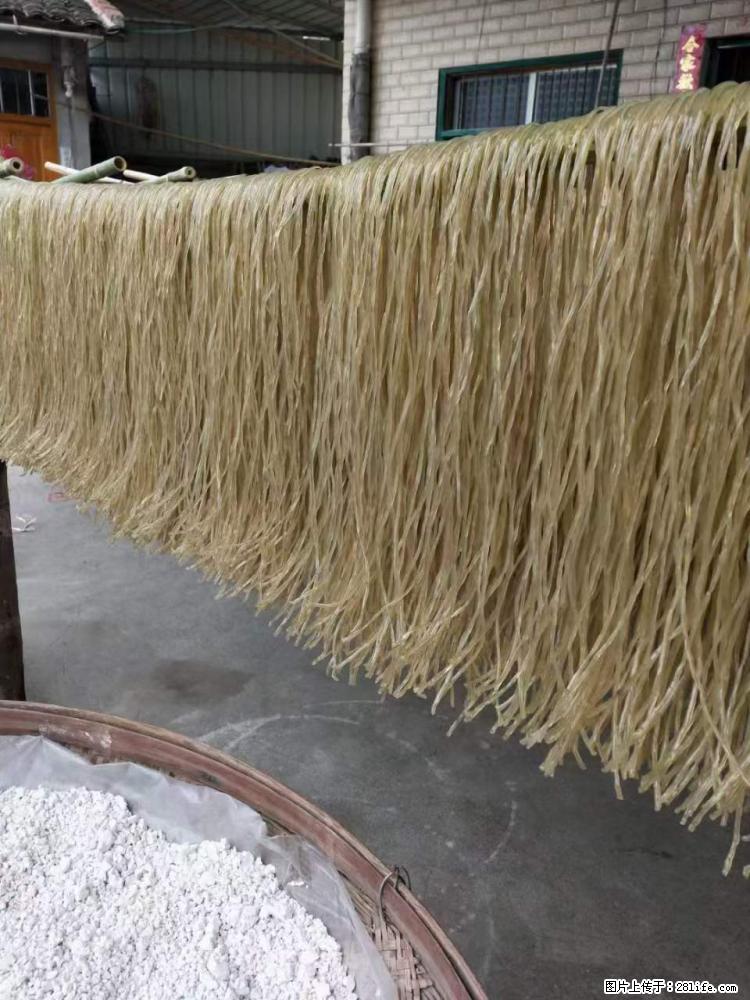 【灌阳正宗红薯粉】美女家里自己做的，干净卫生，假一赔十，价格合理，抢购电话：13737312895 - 美食天地 - 宁波生活社区 - 宁波28生活网 nb.28life.net