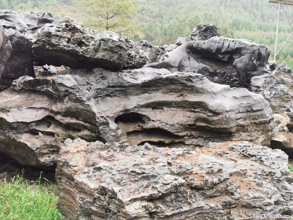 风景石、假山石大量有货，有需要的欢迎联系 - 新手上路 - 宁波生活社区 - 宁波28生活网 nb.28life.net