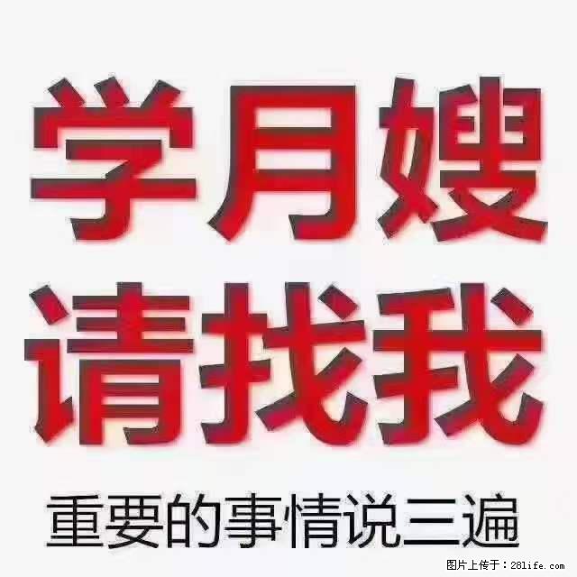 为什么要学习月嫂，育婴师？ - 其他广告 - 广告专区 - 宁波分类信息 - 宁波28生活网 nb.28life.net