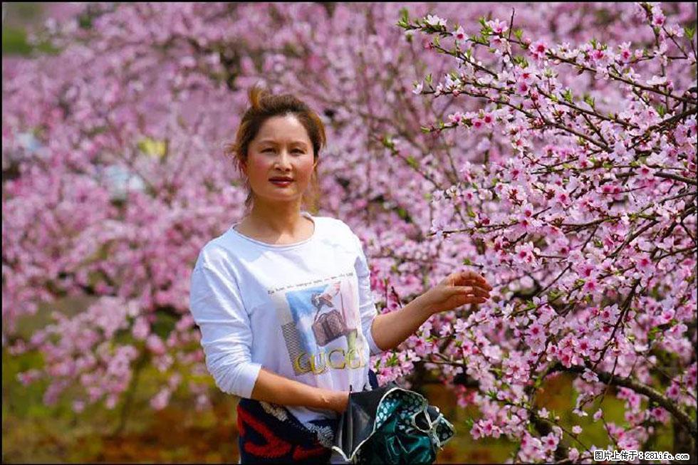 【春天，广西桂林灌阳县向您发出邀请！】官庄村有个醉美的桃花园 - 游山玩水 - 宁波生活社区 - 宁波28生活网 nb.28life.net