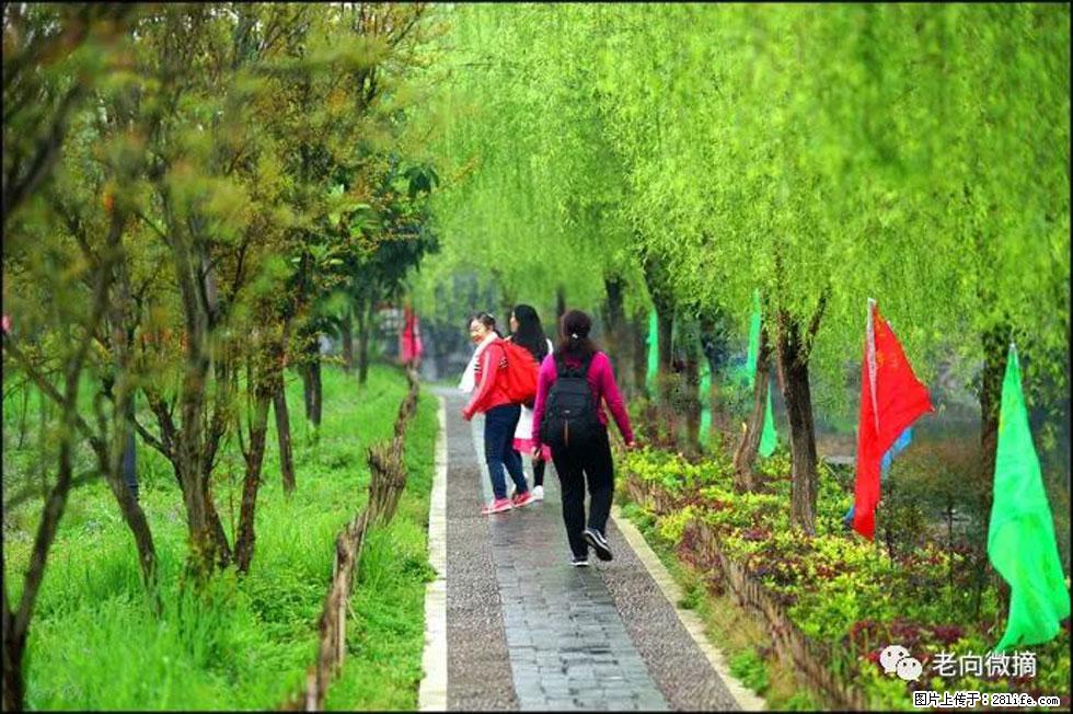 【春天，广西桂林灌阳县向您发出邀请！】江口老街又逢春 - 游山玩水 - 宁波生活社区 - 宁波28生活网 nb.28life.net