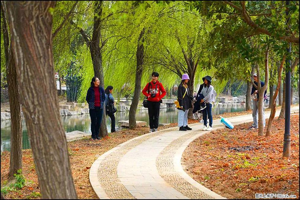 【春天，广西桂林灌阳县向您发出邀请！】江口老街又逢春 - 游山玩水 - 宁波生活社区 - 宁波28生活网 nb.28life.net