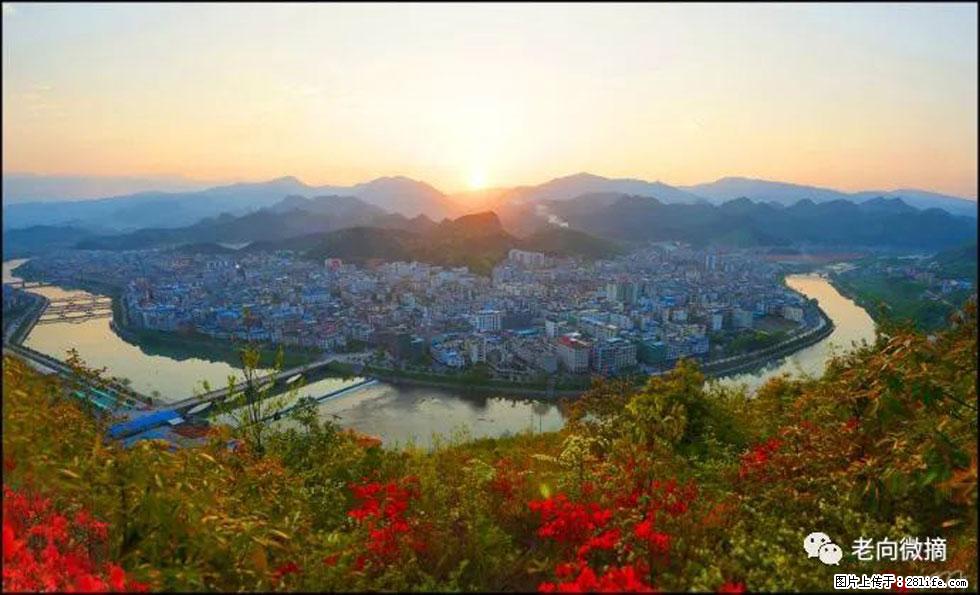 【春天，广西桂林灌阳县向您发出邀请！】登麒麟山，相约映山红 - 游山玩水 - 宁波生活社区 - 宁波28生活网 nb.28life.net