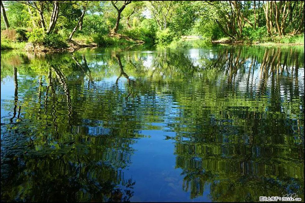 【春天，广西桂林灌阳县向您发出邀请！】熊家寨湿地公园 - 游山玩水 - 宁波生活社区 - 宁波28生活网 nb.28life.net