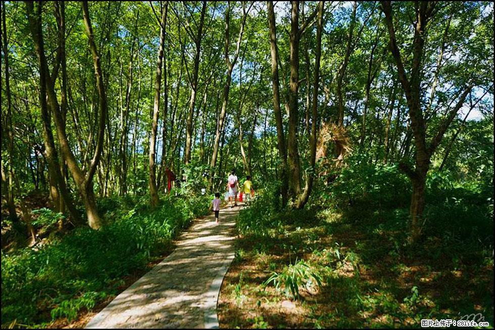 【春天，广西桂林灌阳县向您发出邀请！】熊家寨湿地公园 - 游山玩水 - 宁波生活社区 - 宁波28生活网 nb.28life.net