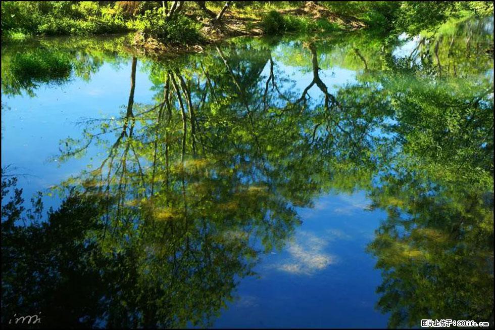 【春天，广西桂林灌阳县向您发出邀请！】熊家寨湿地公园 - 游山玩水 - 宁波生活社区 - 宁波28生活网 nb.28life.net