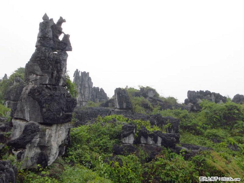 桂林旅游名城景点:灌阳文市石林 - 游山玩水 - 宁波生活社区 - 宁波28生活网 nb.28life.net