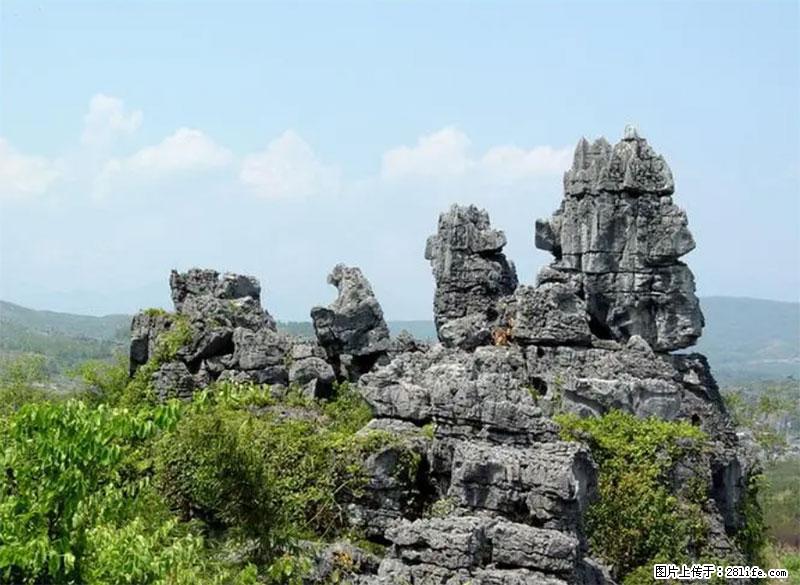 桂林旅游名城景点:灌阳文市石林 - 游山玩水 - 宁波生活社区 - 宁波28生活网 nb.28life.net