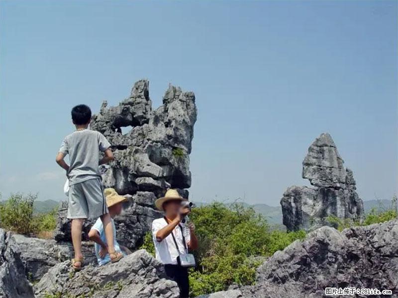 桂林旅游名城景点:灌阳文市石林 - 游山玩水 - 宁波生活社区 - 宁波28生活网 nb.28life.net