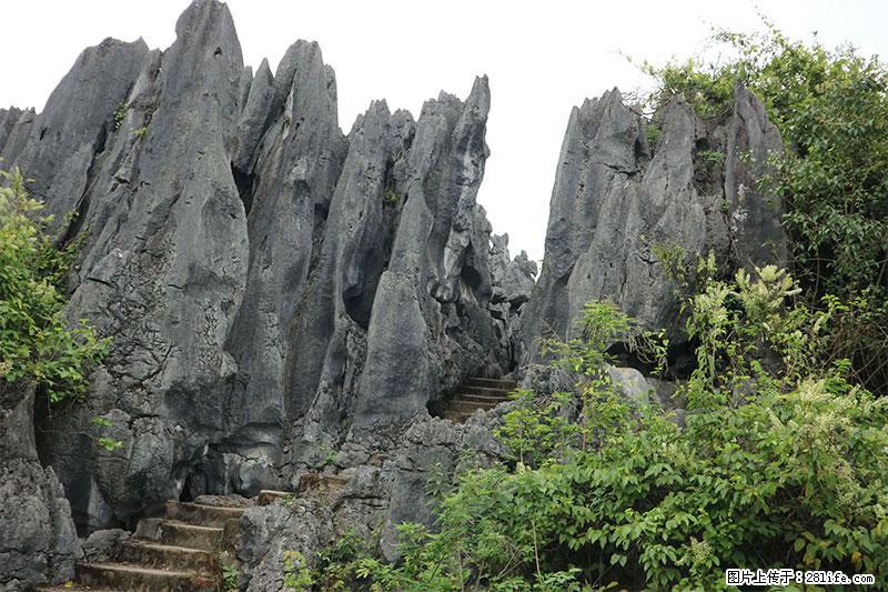 桂林旅游名城景点:灌阳文市石林 - 游山玩水 - 宁波生活社区 - 宁波28生活网 nb.28life.net