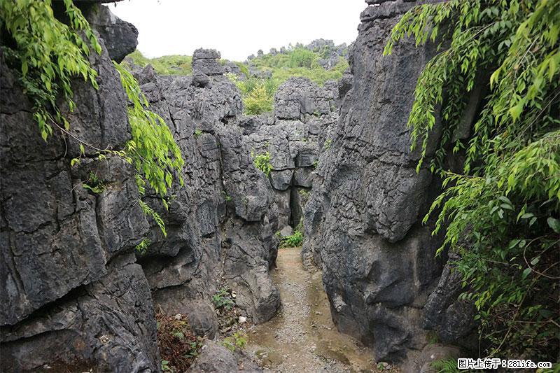 桂林旅游名城景点:灌阳文市石林 - 游山玩水 - 宁波生活社区 - 宁波28生活网 nb.28life.net