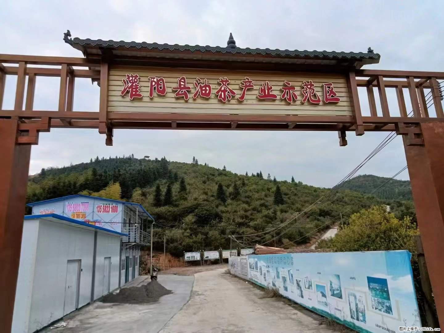 【灌阳县油茶产业示范区】一个有着充实的精神生活的人，对待身外之物自会有一种淡泊的态度 - 土特产 - 饮食特产 - 宁波分类信息 - 宁波28生活网 nb.28life.net