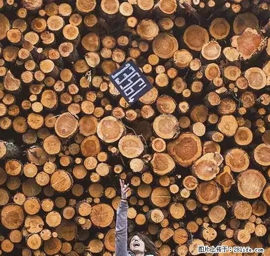 辞掉工作周游世界？现在他们在洗厕所…… - 游山玩水 - 宁波生活社区 - 宁波28生活网 nb.28life.net