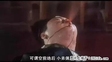 笑癫了！一女的怀孕三年未生，他终于忍不住了... - 娱乐八卦 - 宁波生活社区 - 宁波28生活网 nb.28life.net