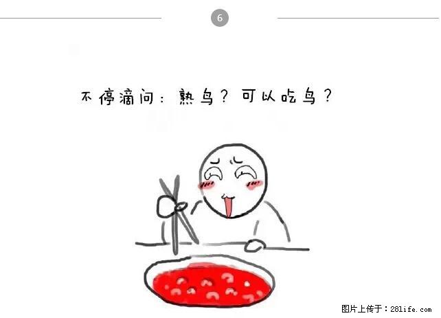 千万不要和这9种哈卵一起吃火锅！ - 美食天地 - 宁波生活社区 - 宁波28生活网 nb.28life.net