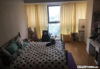 万达广场旁 联盛广场 豪华装修公寓出租 实图拍摄 随时看房 - 宁波28生活网 nb.28life.net