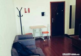 万达广场 小城花园 精装无瑕疵一室一厅一卫出租 随时欢迎看房 - 宁波28生活网 nb.28life.net