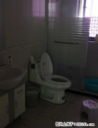 荣安琴湾 3100 特价 - 房屋出租 - 房屋租售 - 宁波分类信息 - 宁波28生活网 nb.28life.net