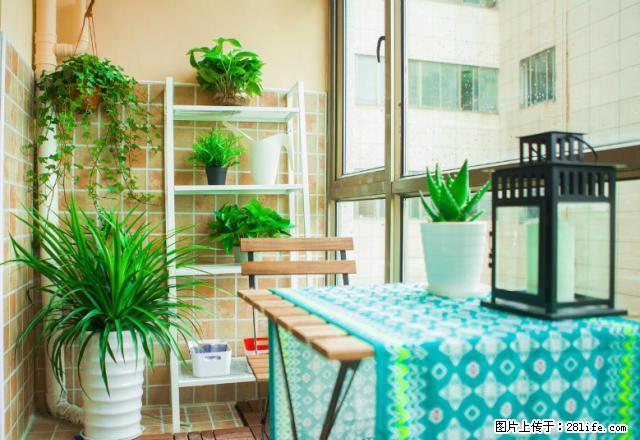 (单间出租)免中介 翔威公寓全新出租 家电齐全 全玻璃大 车位充足 - 房屋出租 - 房屋租售 - 宁波分类信息 - 宁波28生活网 nb.28life.net