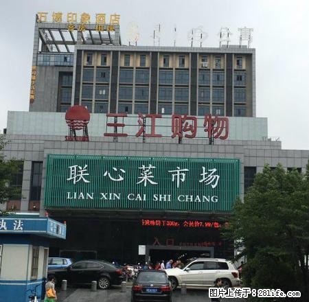 月之明公寓朝南美屋特价出租 ，包物业包宽带无中介费，可做饭 - 房屋出租 - 房屋租售 - 宁波分类信息 - 宁波28生活网 nb.28life.net