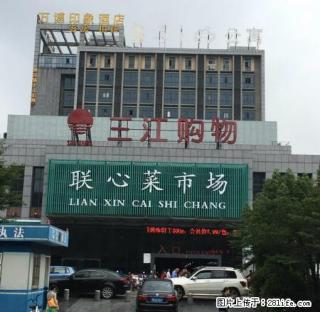 月之明公寓朝南美屋特价出租 ，包物业包宽带无中介费，可做饭 - 宁波28生活网 nb.28life.net