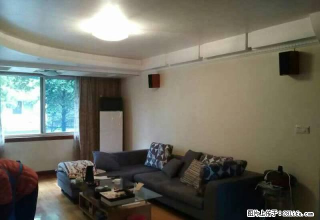 雨辰文星精装3室2厅 来福士地铁旁 品牌家电 拎包入住 - 房屋出租 - 房屋租售 - 宁波分类信息 - 宁波28生活网 nb.28life.net