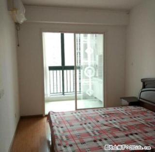 丰馨苑精品好房子出租 - 宁波28生活网 nb.28life.net