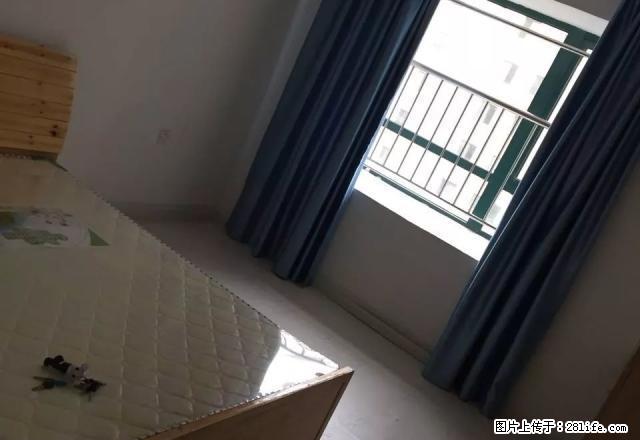 (单间出租)高新区科技园旁 齐和家园 1室1厅 房子配套完善 精 - 房屋出租 - 房屋租售 - 宁波分类信息 - 宁波28生活网 nb.28life.net
