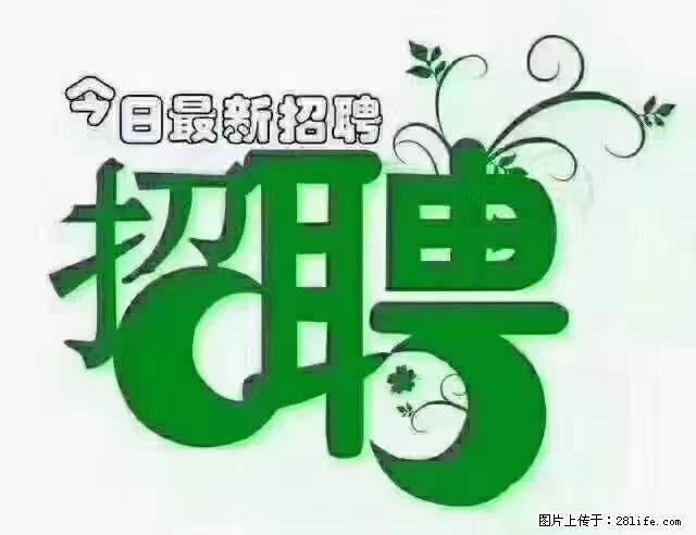 【招聘摄像师】待遇：试用期6000元/月，转正7000元/月+五险一金+餐补+节日福利+奖金 - 其他招聘信息 - 招聘求职 - 宁波分类信息 - 宁波28生活网 nb.28life.net