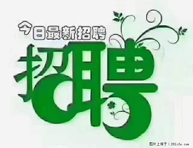 上海隔离酒店招人：55岁以下 男女不限 - 职场交流 - 宁波生活社区 - 宁波28生活网 nb.28life.net