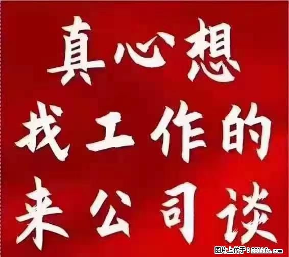 【上海】国企，医院招两名男保安，55岁以下，身高1.7米以上，无犯罪记录不良嗜好 - 职场交流 - 宁波生活社区 - 宁波28生活网 nb.28life.net