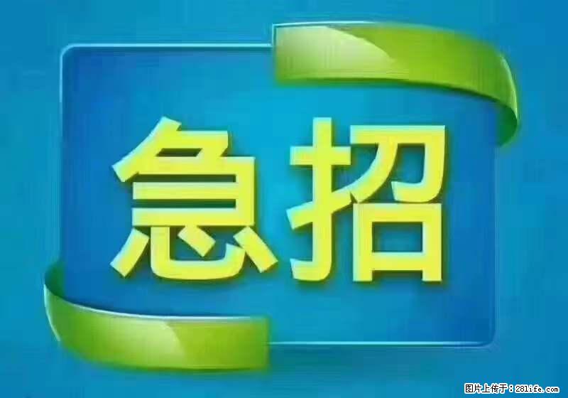 招财务，有会计证的，熟手会计1.1万底薪，上海五险一金，包住，包工作餐，做六休一 - 职场交流 - 宁波生活社区 - 宁波28生活网 nb.28life.net