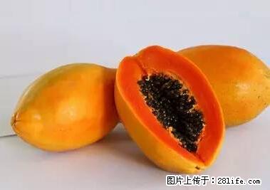 晕车、脚气、牙齿变黄、皮肤粗糙？学会这些三分钟搞定！ - 宁波生活资讯 - 宁波28生活网 nb.28life.net