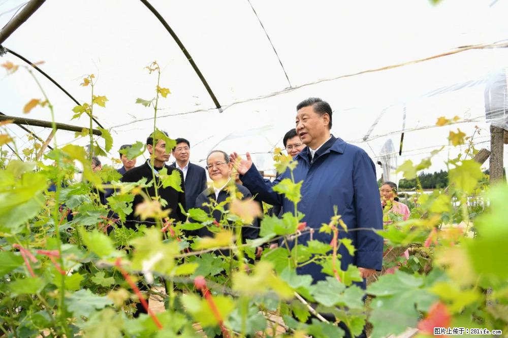 习近平赴广西考察调研 - 宁波生活资讯 - 宁波28生活网 nb.28life.net