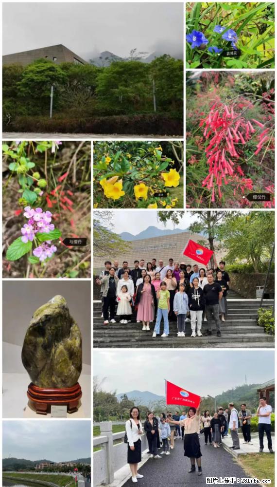 “粤灌文化 美好生活”油茶文化主题活动在广东深圳成功举办 - 宁波生活资讯 - 宁波28生活网 nb.28life.net