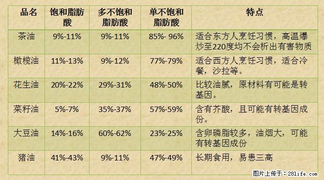 揭秘茶油的5大核心营养成分！被称为人体健康的“守护盾”！ - 宁波生活资讯 - 宁波28生活网 nb.28life.net