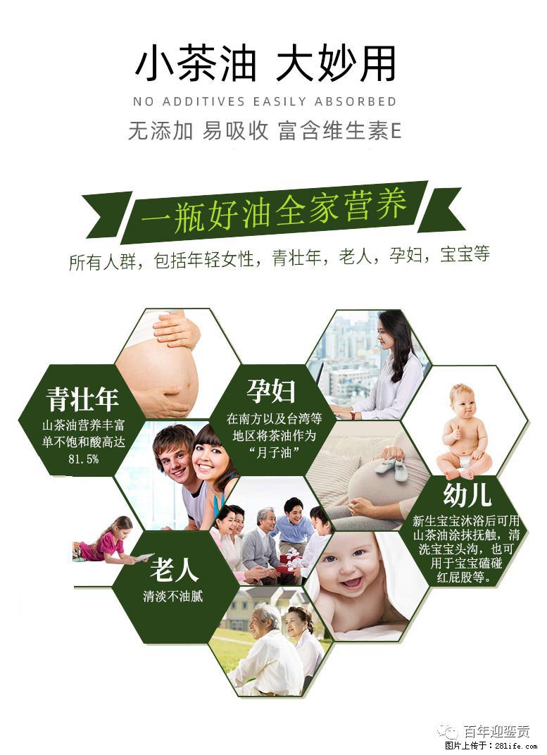 世界没有真相，只有认知，最好的食用油是中国的山茶油！ - 宁波生活资讯 - 宁波28生活网 nb.28life.net