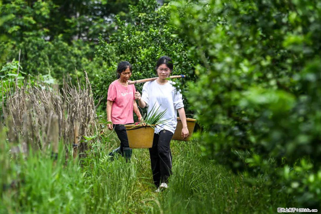 全网追的“扁担女孩”，找了一份暑假工，时薪12元 - 宁波生活资讯 - 宁波28生活网 nb.28life.net