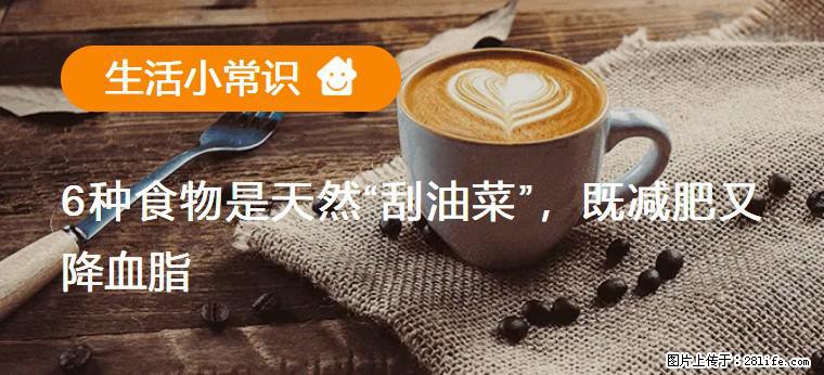 【生活小常识】6种食物是天然“刮油菜”，既减肥又降血脂 - 宁波生活资讯 - 宁波28生活网 nb.28life.net