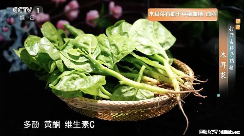 比牛奶补钙还厉害！凉血解毒、稳血糖...这菜冬天必吃，很多人却当草 - 宁波生活资讯 - 宁波28生活网 nb.28life.net