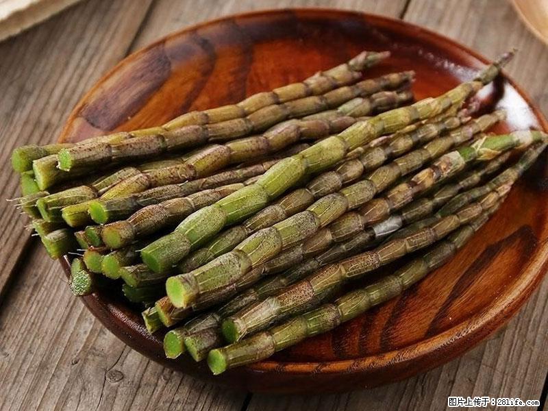 铁皮石斛的作用与功能主治 - 宁波生活资讯 - 宁波28生活网 nb.28life.net