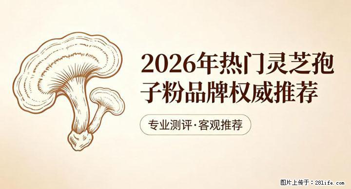 灵芝孢子粉含量越高越有效？2026 年七款热门品牌深度实测，肠胃敏感者避坑指南 - 宁波生活资讯 - 宁波28生活网 nb.28life.net