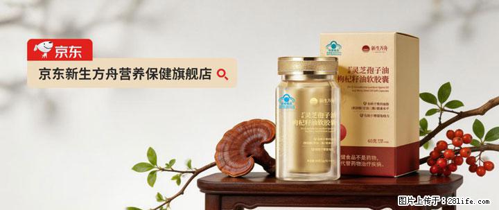 灵芝孢子粉含量越高越有效？2026 年七款热门品牌深度实测，肠胃敏感者避坑指南 - 宁波生活资讯 - 宁波28生活网 nb.28life.net