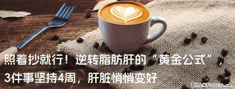 照着抄就行！逆转脂肪肝的“黄金公式”，3件事坚持4周，肝脏悄悄变好 - 宁波生活资讯 - 宁波28生活网 nb.28life.net